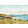 Scilly, Gimble Bay, Tresco