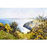 Carbis Bay