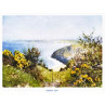Carbis Bay