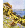 The Banks Of The Fal at Falmouth