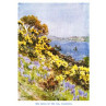 The Banks Of The Fal at Falmouth