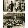 Battersea Dogs Home, 1926