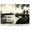 Battersea and Chelsea Bridges
