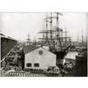 London Docks 1900