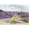Moorland at Frensham, 1912