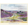 Moorland at Frensham, 1912