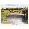 Runnymede, 1899