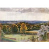 View From Coneyhurst Hill, Ewehurst, 1911