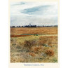 Wimbledon Common, 1912