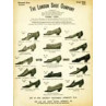 The London Shoe Company, 1899
