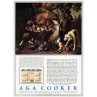 Aga Cooker