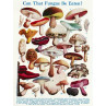 Can That Fungus Be Eaten