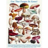 Can That Fungus Be Eaten
