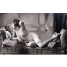 Pin-Up Postcard