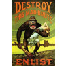 Destroy This Mad Brute