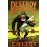 Destroy This Mad Brute
