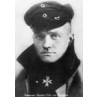 Manfred von Richtofen, 1917