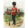 Grenadier Guards