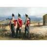 52nd Oxfordshire Light Infantry, Peninsular War, 1810