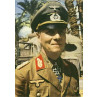 Rommel in North Africa, 1941
