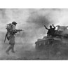 German Surrenders at El Alamein