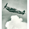 Spitfire