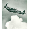 Spitfire
