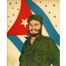 Fidel Castro, 1960