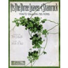 Three Leaves of Shamrock