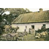 Irish Farm Yard, 1910