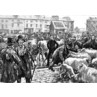 Galway Cattle Fair, 1888