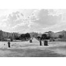 Maynooth College, 1901