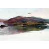 Island of Innisfallen, Killarney, 1910
