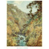 The Dargle, Wicklow, 1925