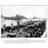 Market Day, Abbeyleix, 1901