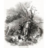 Evictions of Irish Tenantry, The Day After