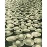 Hats Bleaching