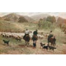 New Zealand Sheep Station