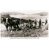 Binding and Stooking, Peebles, 1900