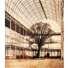 The Crystal Palace, 1852