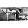 Ancient Groundsman And His Roller