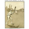 Foozle Plays Cricket