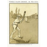 Foozle Plays Cricket
