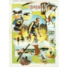 Speed, Cycling, 1891