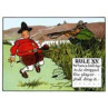 Crombie's Rules of Golf, XV