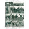 Guildford Coursing Meeting