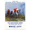 Greyhound Derby