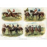 Caps & Jackets Of The Turf 1, 1886