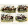 Caps & Jackets Of The Turf 4, 1886