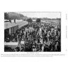 Ascot, The Paddock, 1895